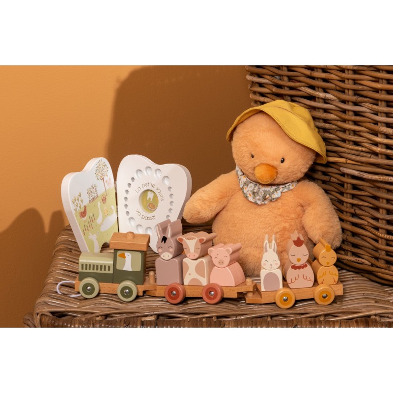 Petit train « Esteban »  |  Au Tombeau des Jaloux