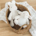 Peluche lapin « Tout doux »  |  Au Tombeau des Jaloux