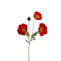 Tige coquelicot nature |  Au Tombeau des Jaloux