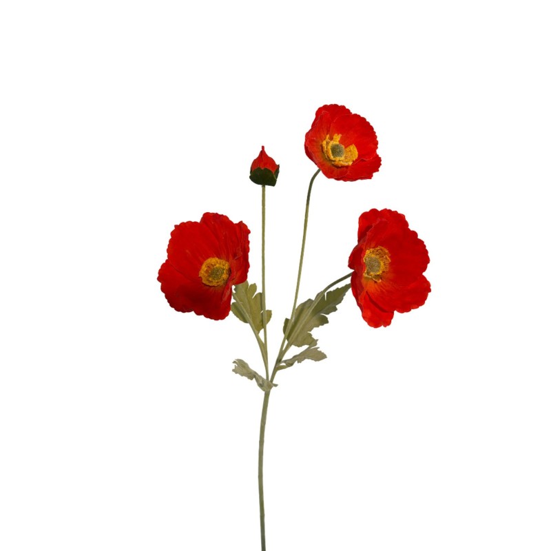 Tige coquelicot nature |  Au Tombeau des Jaloux