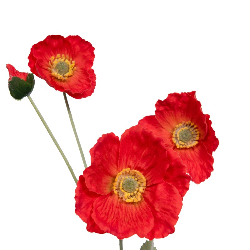 Tige coquelicot nature |  Au Tombeau des Jaloux