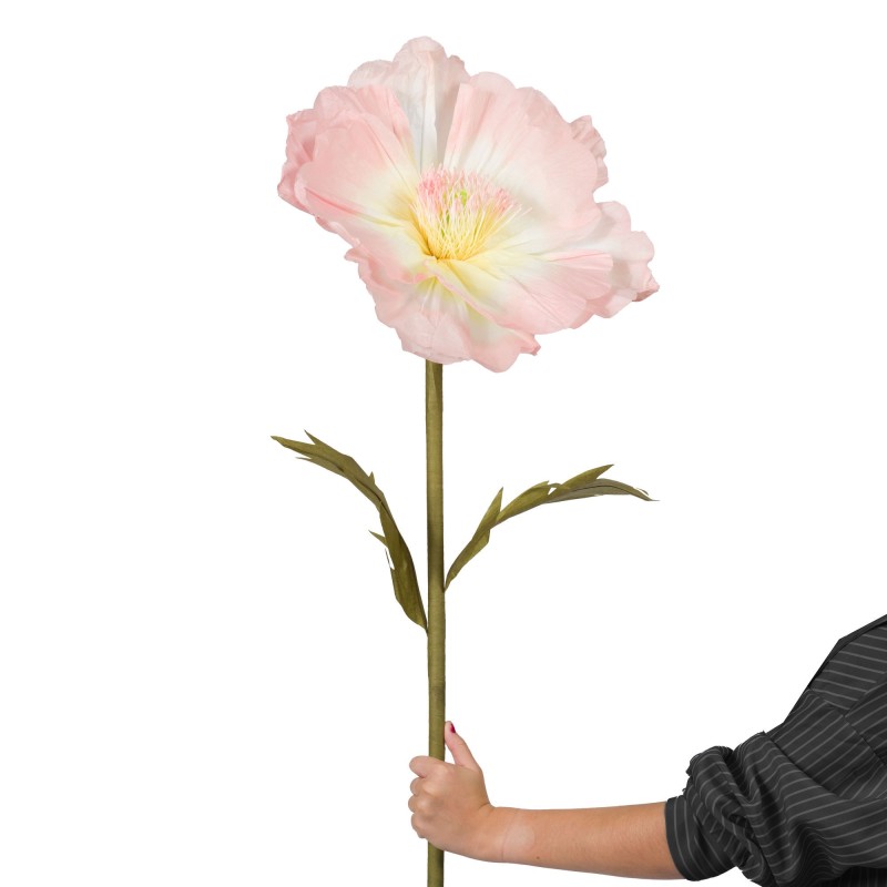 Fleur Pippa - Grand format|  Au Tombeau des Jaloux