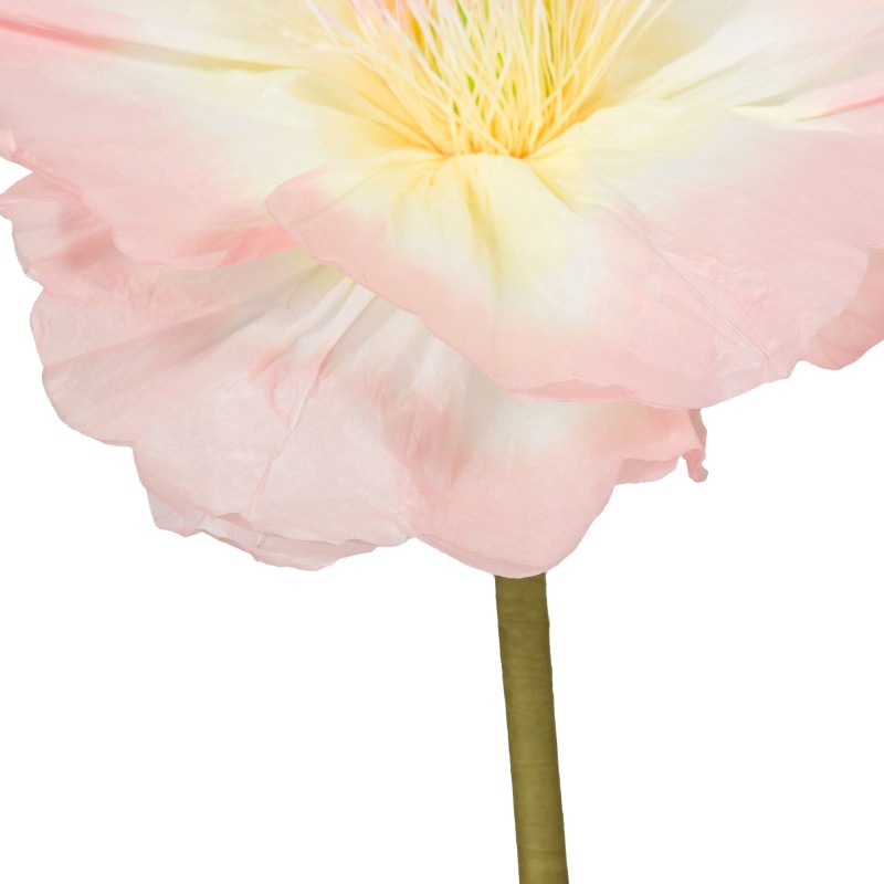 Fleur Pippa - Grand format|  Au Tombeau des Jaloux