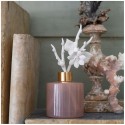 Diffuseur de parfum d’ambiance – 150 ml Marquise – Éclat Floral/Au Tombeau Des Jaloux
