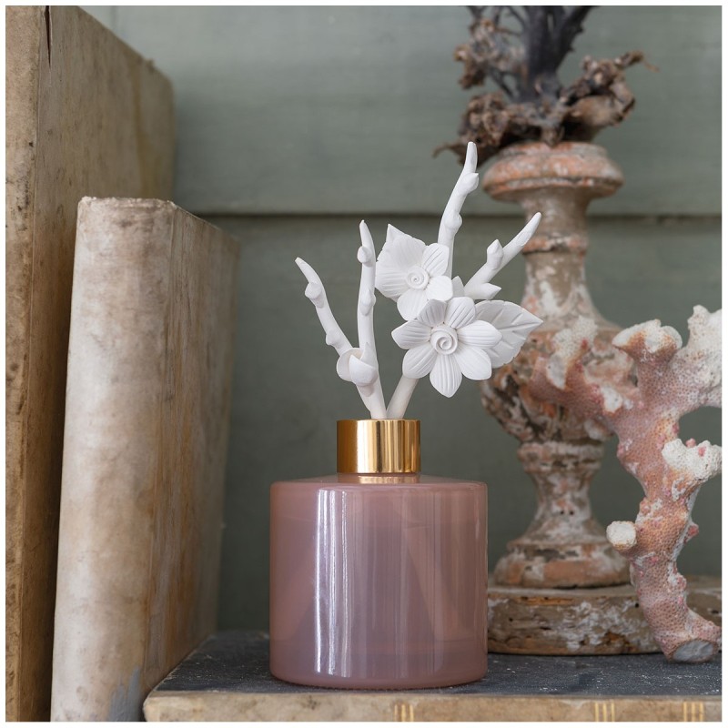 Diffuseur de parfum d’ambiance – 150 ml Marquise – Éclat Floral/Au Tombeau Des Jaloux