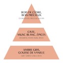 Diffuseur de parfum d’ambiance – 150 ml Marquise – Éclat Floral/Au Tombeau Des Jaloux