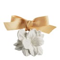 Coffret 5 Décors Parfumés – Douceur d’Ambre/Au Tombeau Des Jaloux