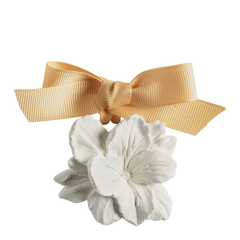 Coffret 5 Décors Parfumés – Douceur d’Ambre/Au Tombeau Des Jaloux