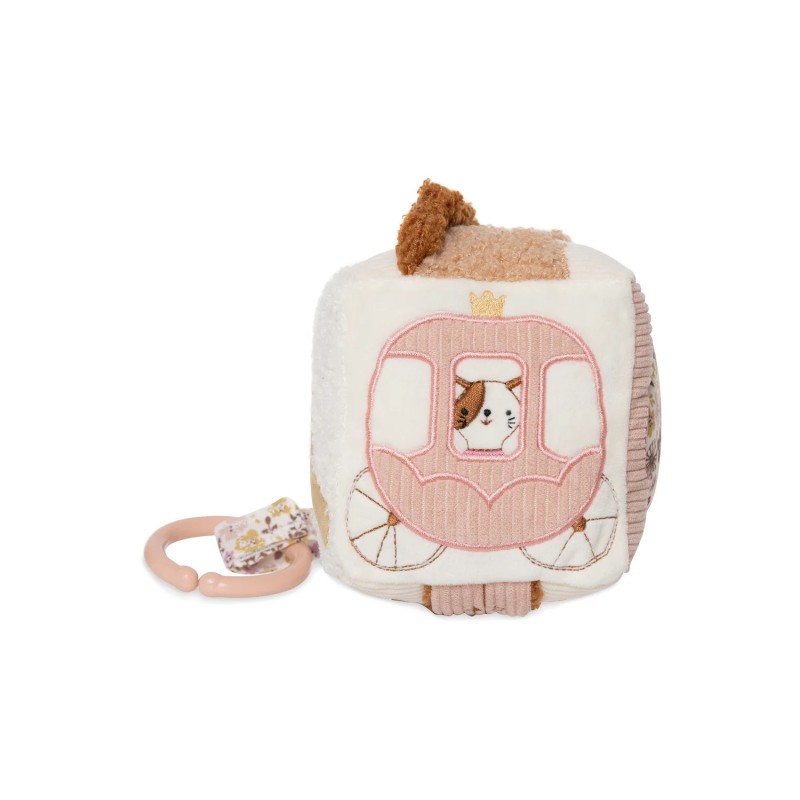 Cube d'activités - Flower Fairies