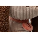 Peluche - Animal Friends - Diego Dog