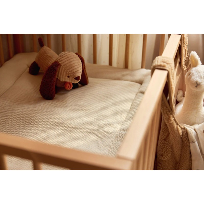 Peluche - Animal Friends - Diego Dog
