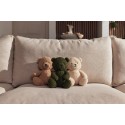 Peluche - Teddy Bear - Biscuit