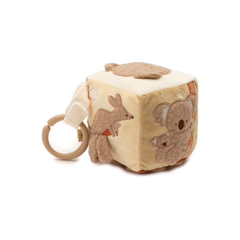 Cube d’Activités Kangaroots – Éveil et Découverte/ Au tombeau des jaloux